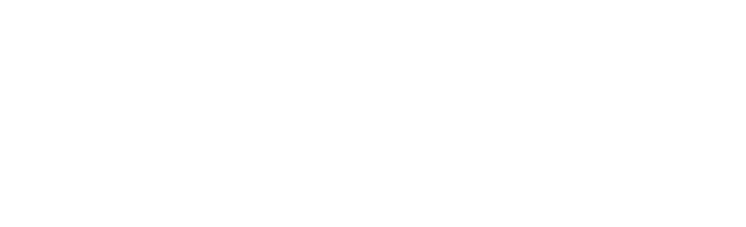 JINCHAN 金蝉